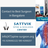 sattvikspine
