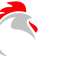Poultry Bazaar