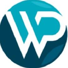WP plugin experts