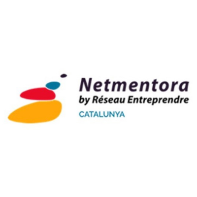 NetMentora
