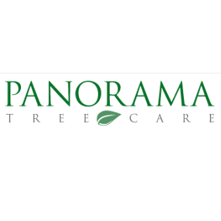 Panorama Tree Care: Tampa Tree Services