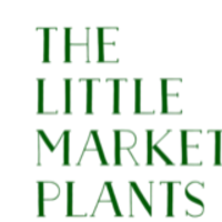 indoor plants delivery in Melbourne