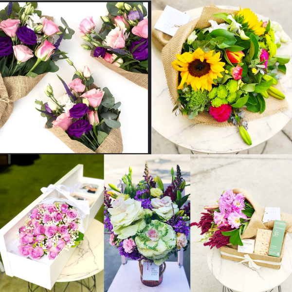 indoor plants delivery in Melbourne