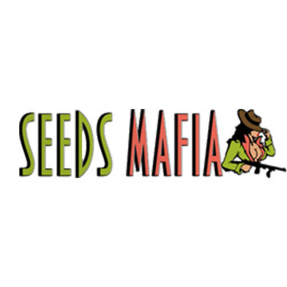 SeedsMafia - канабис семена