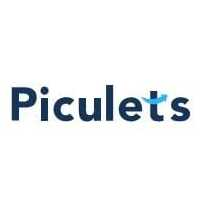 Piculets Solutions Private Limited