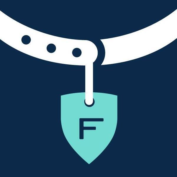 Figo Pet Insurance