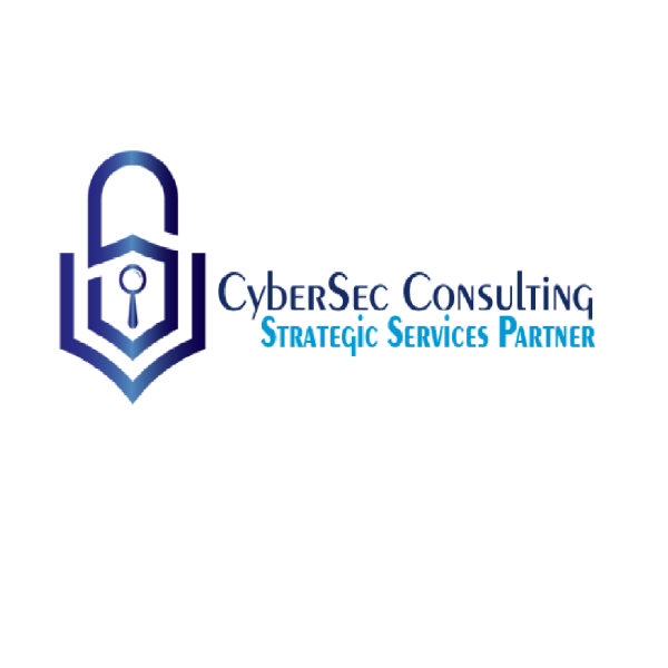CyberSec Consulting