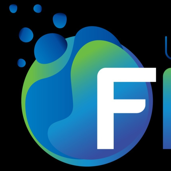 Logo Design Flex