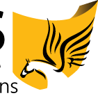 Pegasus Design - Your Complete Digital Solution
