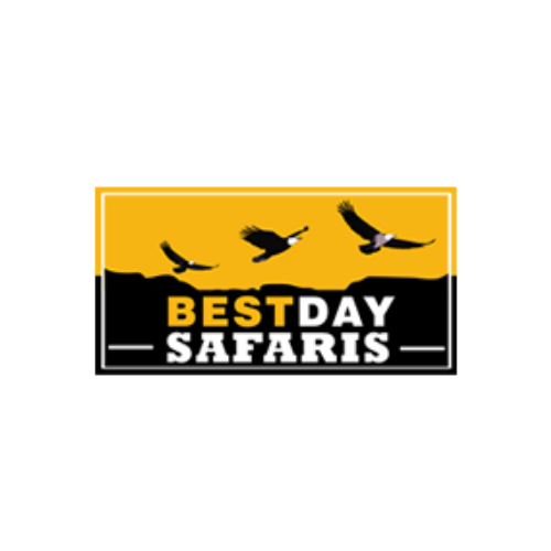 BestDay Safaris