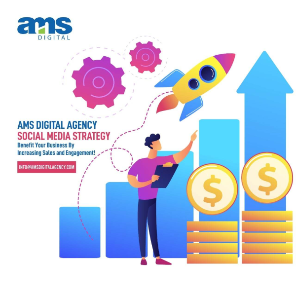 AMS Digital Agency