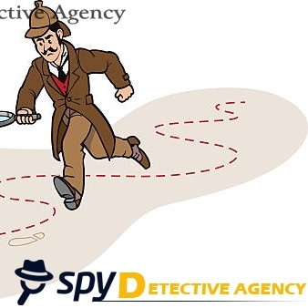 Spy Detective Noida