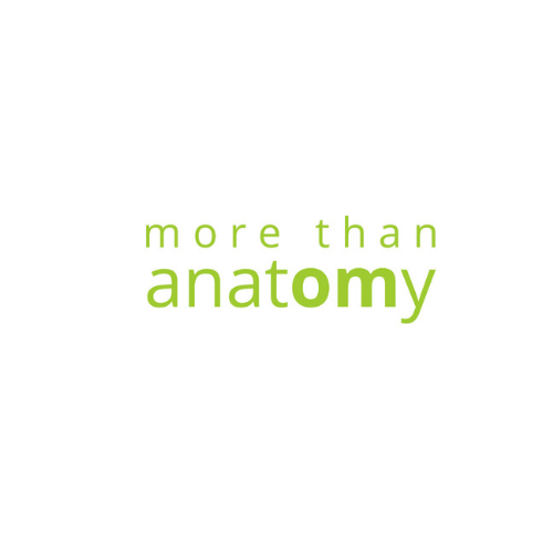 More Than Anatomy