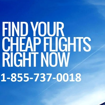 The Farehub-Book Airlines Tickets