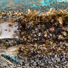 It's Bugs Or Us Pest Control - San Antonio