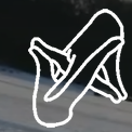 silverfoxpro
