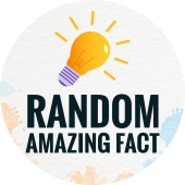 Random Amazing Fact - Startupxplore Random Amazing Fact