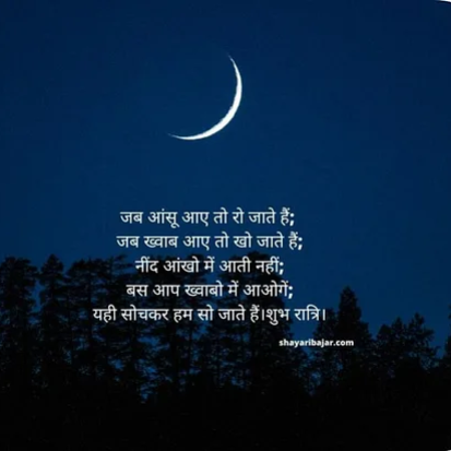 good night funny shayari