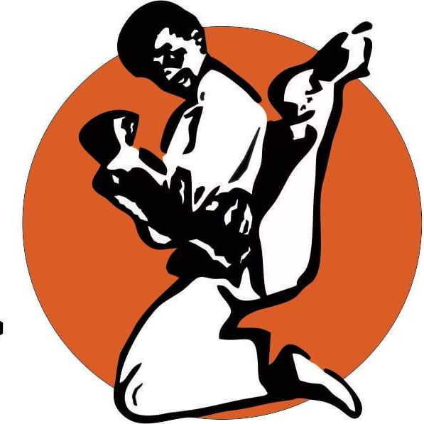 Traditional TaeKwon-Do Center Tampa