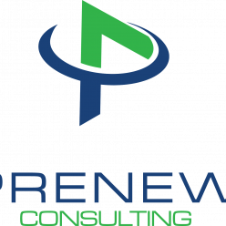 Prenew IT Consulting