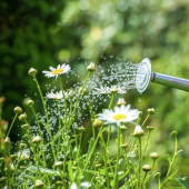 Weed prevention tips - Startupxplore Weed prevention tips