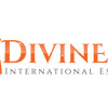 Divine Mates