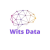 Witsdata