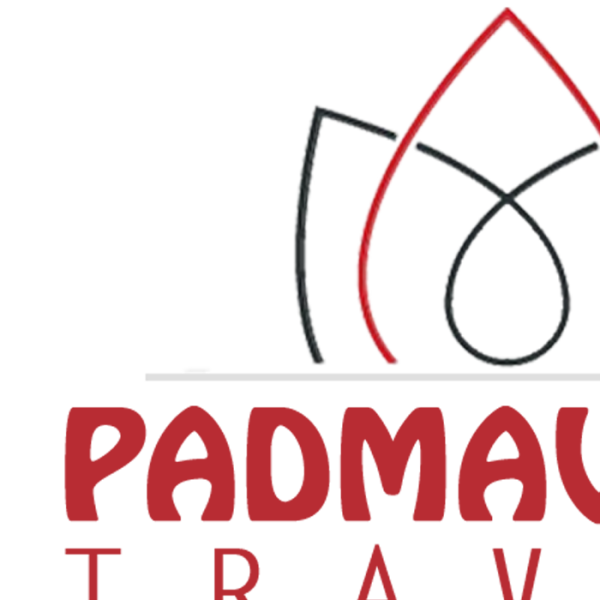 Padmavathi Travels T-Nagar