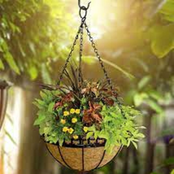 Online Garden Store