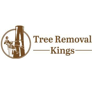 TREE REMOVAL KINGS