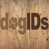 Dog ID's - Startupxplore Dog ID's