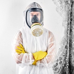 Seattle Mold Removal