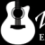 Zager Guitars