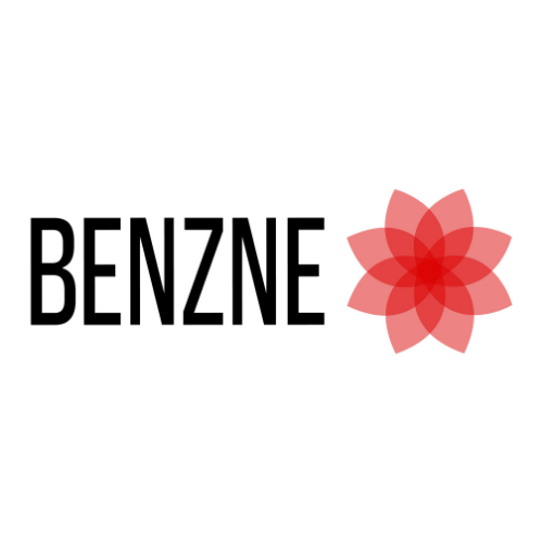 Benzne Consulting Private Limited