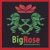 Big Rose Bookkeeping