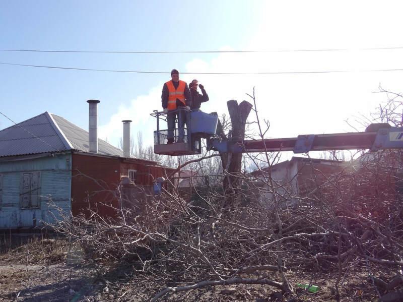 Images from St. Charles Tree Service