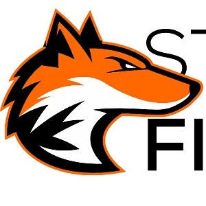 Steel Fox Firearms