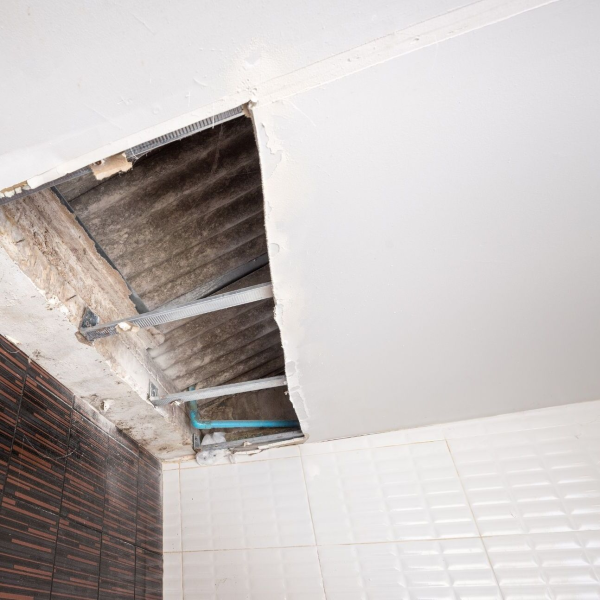 Water Damage Experts of Fort Lauderdale