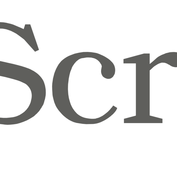ScriptBees IT Pvt Ltd