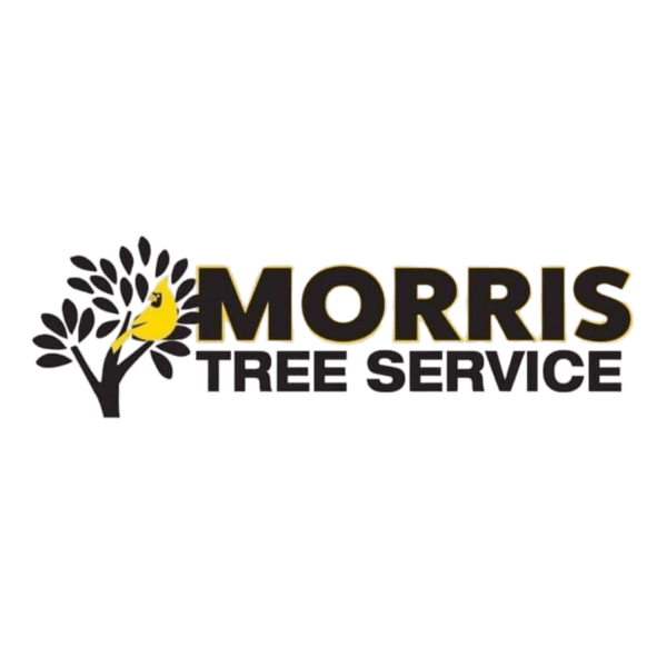Morris Tree Removal Services
