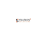 Synarion IT Solutions