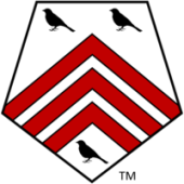 SingTone LLC - Startupxplore SingTone LLC
