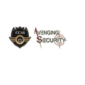Avenging Security - Startupxplore Avenging Security
