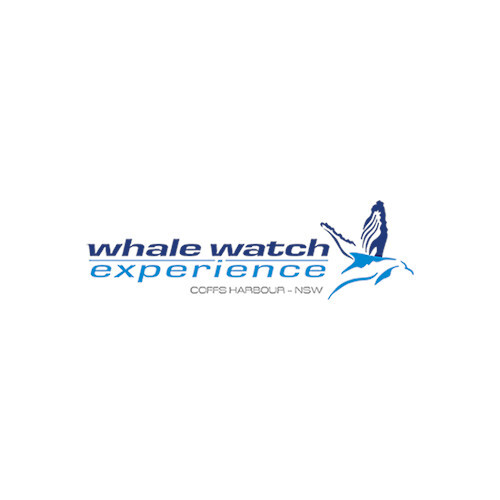 Whale Watch Experience