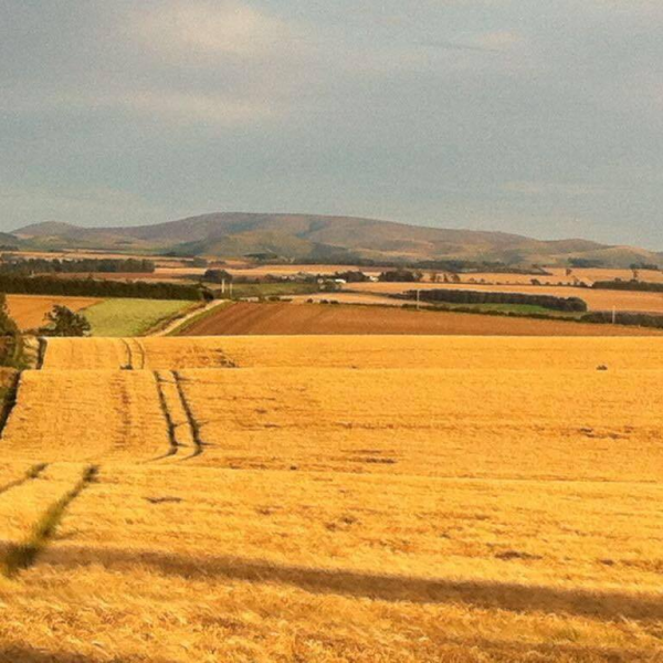 Borders Country Cottages