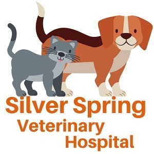 Silver Spring Veterinary Hospital
