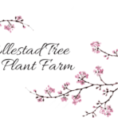 Ellestad Tree And Plant Farm - Startupxplore Ellestad Tree And Plant Farm