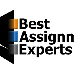 Best Assignment Experts