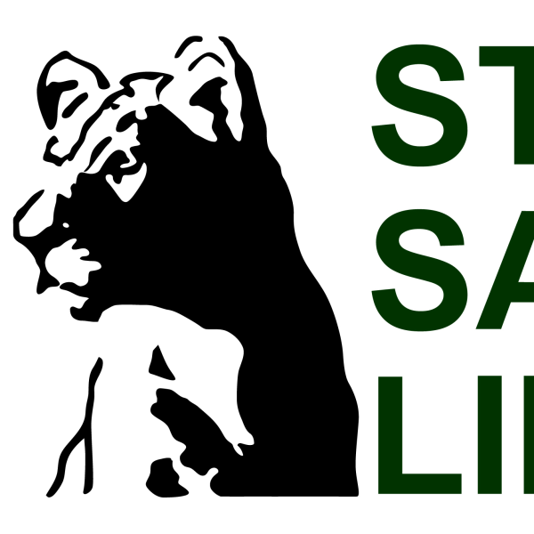 Steady Safaris Limited