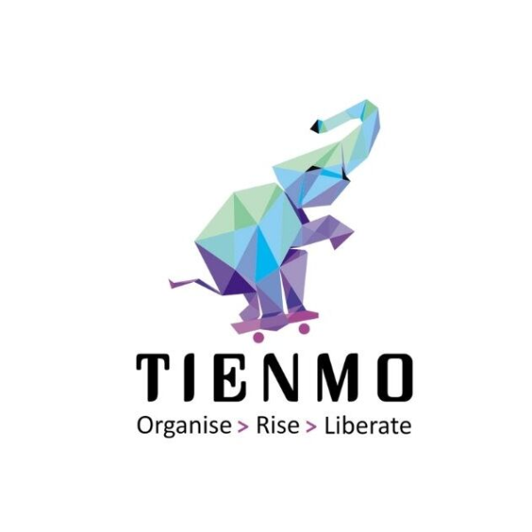 Tienmo Consulting LLP